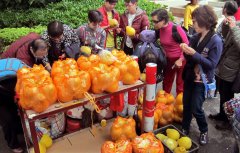 >第1视点｜乡村振兴路 金柚正飘